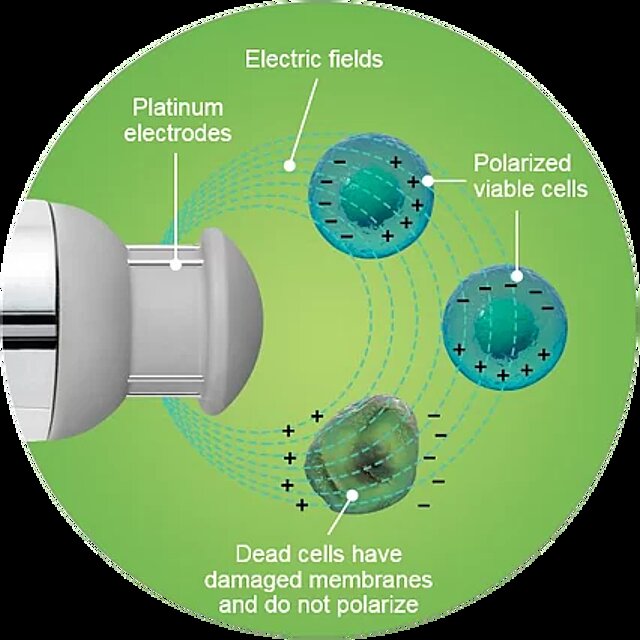 Cell density sensors