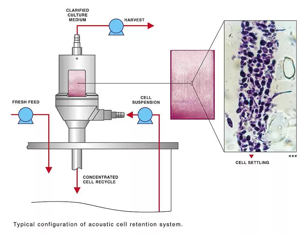 [Translate to Deutsch:] BioSep perfusion device