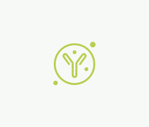 Monoclonal antibody illustration – Y-shaped mAB structure for biotherapeutic bioreactor manufacturing