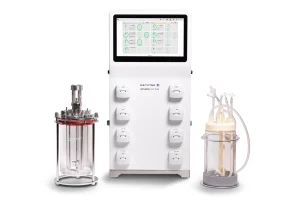 Livit Flex Bundle